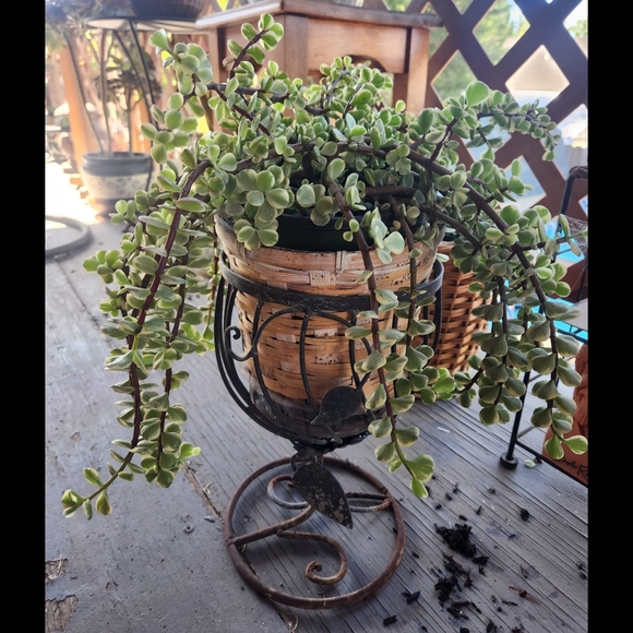 VTG Metal Plant Stand - Picture 2 of 14